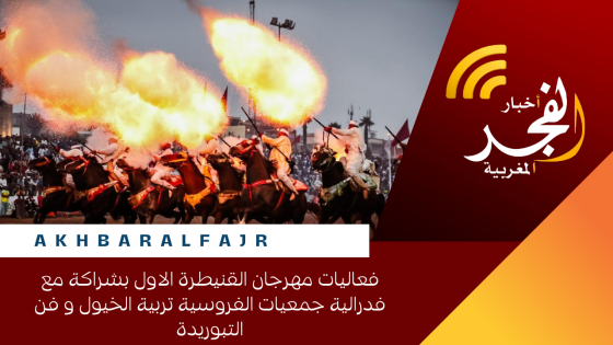 فعاليات مهرجان القنيطرة الاول بشراكة مع فدرالية جمعيات الفروسية تربية الخيول و فن التبوريدة