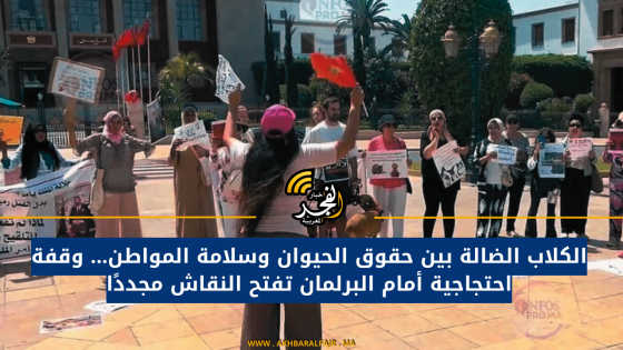 الكلاب الضالة بين حقوق الحيوان وسلامة المواطن… وقفة احتجاجية أمام البرلمان تفتح النقاش مجددًا