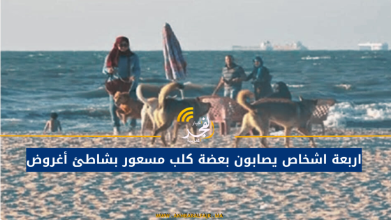 اربعة اشخاص يصابون بعضة كلب مسعور بشاطئ أغروض