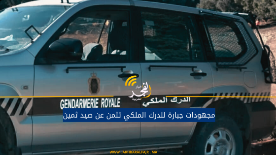مجهودات جبارة للدرك الملكي تثمن عن صيد ثمين