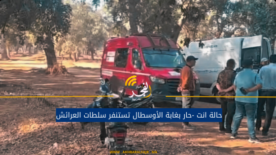 حالة انت -حار بغابة الأوسطال تستنفر سلطات العرائش