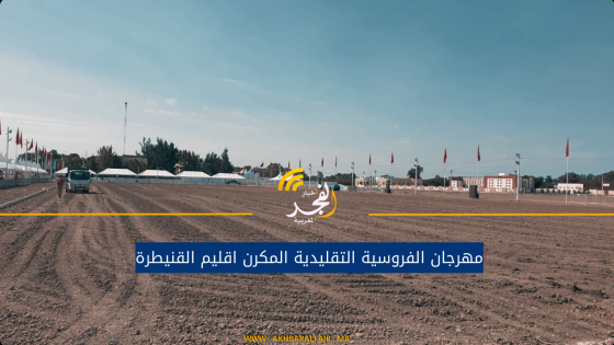 مهرجان الفروسية التقليدية المكرن اقليم القنيطرة