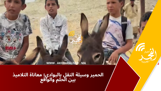 الحمير وسيلة النقل بالبوادي: معاناة التلاميذ بين الحلم والواقع