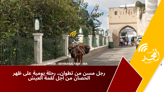 رجل مسن من تطوان.. رحلة يومية على ظهر الحصان من أجل لقمة العيش