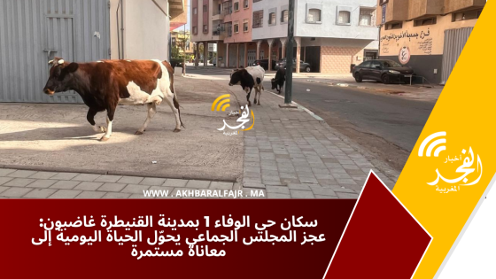 سكان حي الوفاء 1 بمدينة القنيطرة غاضبون: عجز المجلس الجماعي يحوّل الحياة اليومية إلى معاناة مستمرة