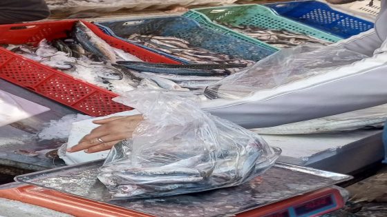 تيفلت: اقبال كبير من المواطنين على اقتناء السمك