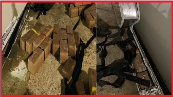 تمكنت عناصر الشرطة بمنطقة أمن ميناء طنجة المتوسط بتنسيق مع نظيرتها بالجمارك