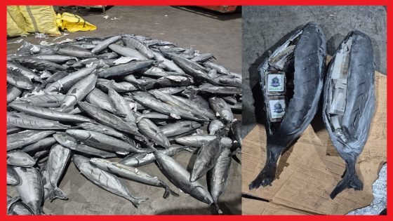 تمكنت عناصر الشرطة بميناء طنجة المتوسط بتنسيق مع مصالح الجمارك، مساء أمس الخميس 19 مارس الجاري