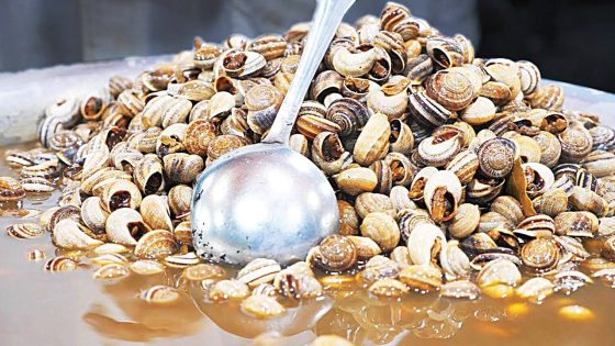 الببوش يتسبب في تسـ ـمم خطـ ـير بمدينة المحمدية