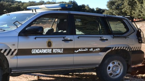 إصابة عنصرين من الدرك الملكي في تدخل أمني بإقليم الدريوش