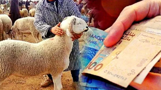 صرف منحة مالية تضامنية لفائدة أرامل ومتقاعدي الأمن الوطني بمناسبة عيد الأضحى