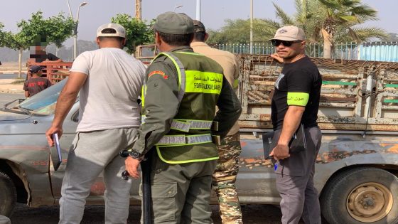 بالصور السلطات المحلية بتيفلت تكثف المراقبة برحبة المواشي مع اقتراب العيد