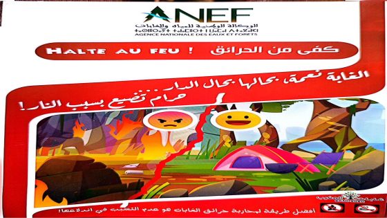 الغابة نعمة يجب حمايتها.. حملة تحسيسية بتيفلت حول مخاطر الحرائق