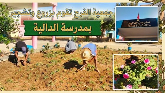 جمعية الفرح للتنمية والتضامن بتيفلت.. مبادرات ميدانية لترسيخ مدرسة نظيفة وجذابة