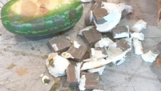 صيد ثمين بميناء طنجة المتوسط