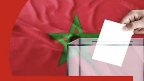 بين تقوية التنظيمات والحملة الانتخابية السابقة لأوانها, أين ينتهي النشاط السياسي وأين تبدأ المخالفة؟