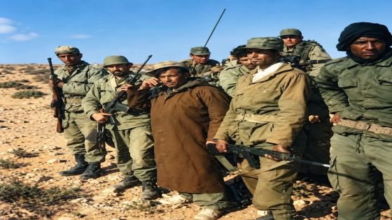 لماذا ندافع عن أرامل شهداء حرب الصحراء المغربية وعن معنويات قواتنا المسلحة الملكية ؟