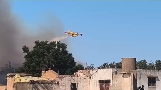 العرائش.. حـ ـريق مهول بغابة القلعيين يستنفر السلطات وطائرات «كاندير»