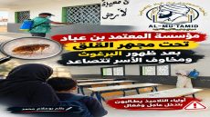 مؤسسة المعتمد بن عباد أمام تطورات جديدة بعد ظهور البرغوث