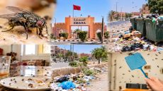 السمارة تختنق تحت أسراب الذباب من يتحمل مسؤولية حماية صحة السكان ونظافة المدينة؟