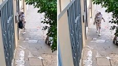 توقيف ثلاثينية متلبسة بالسرقة بعد فيديو متداول بحي “أرض الدولة”من طرف المصالح الأمنية بطنجة